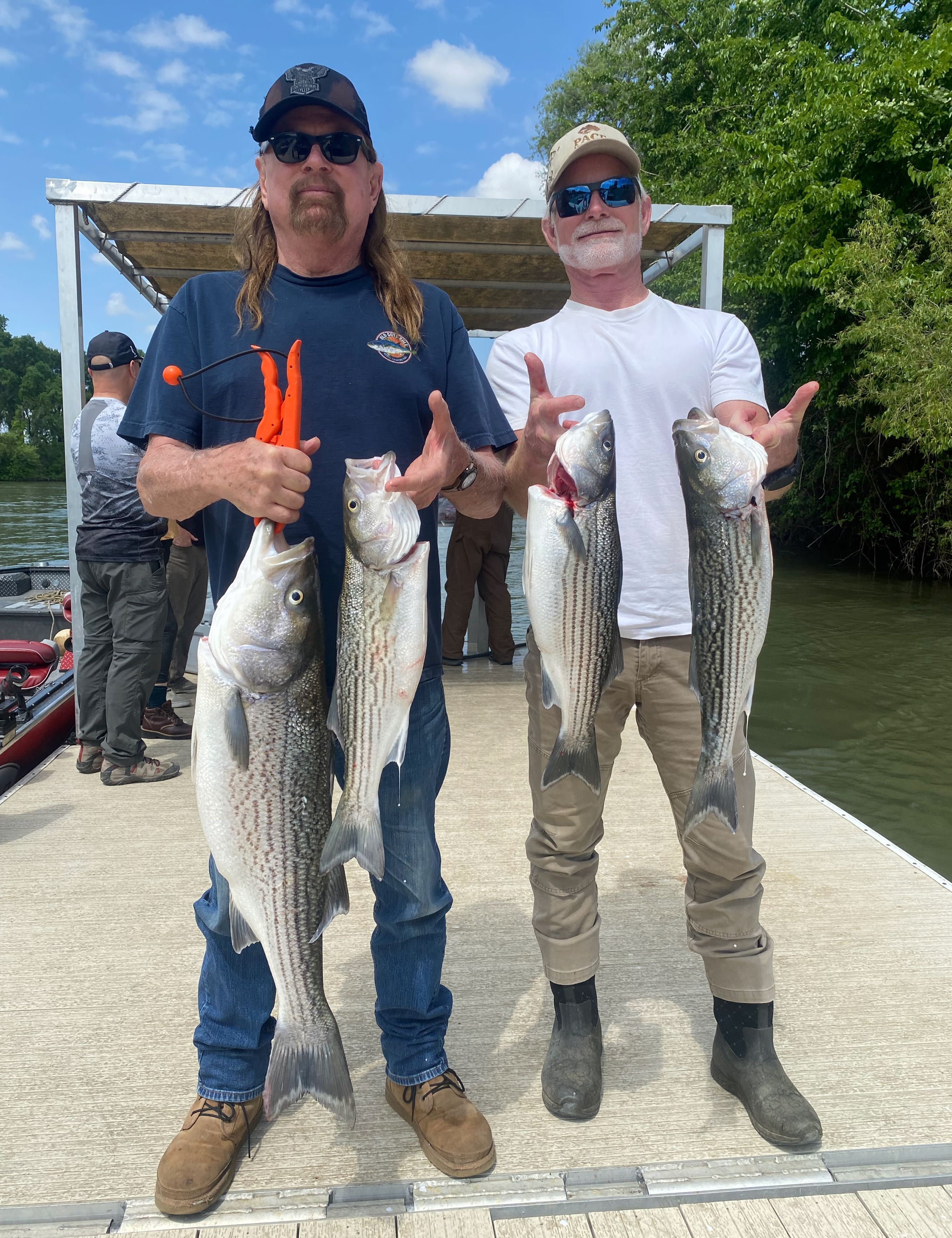 Stripers  are here!